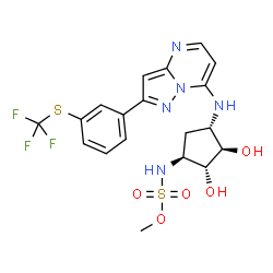ChemSpider 2D Image | Methyl {(1S,2R,3R,4S)-2,3-dihydroxy-4-[(2-{3-[(trifluoromethyl)sulfanyl]phenyl}pyrazolo[1,5-a]pyrimidin-7-yl)amino]cyclopentyl}sulfamate | C19H20F3N5O5S2