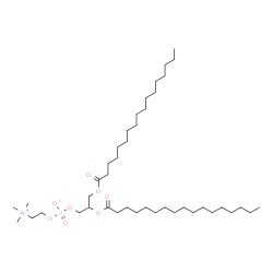 ChemSpider 2D Image | 2,3-Bis(heptadecanoyloxy)propyl 2-(trimethylammonio)ethyl phosphate | C42H84NO8P