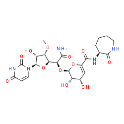 ChemSpider 2D Image | (2S,3S,4S)-2-{(1S)-2-Amino-1-[(2S,3S,4R,5R)-5-(2,4-dioxo-3,4-dihydro-1(2H)-pyrimidinyl)-4-hydroxy-3-methoxytetrahydro-2-furanyl]-2-oxoethoxy}-3,4-dihydroxy-N-[(3S)-2-oxo-3-azepanyl]-3,4-dihydro-2H-pyr
an-6-carboxamide (non-preferred name) | C23H31N5O12