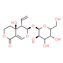 ChemSpider 2D Image | (4aS,5S,6R)-4a-Hydroxy-1-oxo-5-vinyl-4,4a,5,6-tetrahydro-1H,3H-pyrano[3,4-c]pyran-6-yl beta-L-threo-hexopyranoside | C16H22O10
