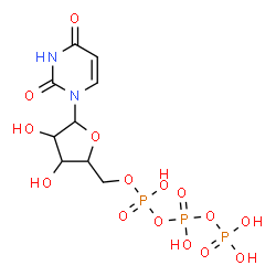 ChemSpider 2D Image | 1-[5-O-(Hydroxy{[hydroxy(phosphonooxy)phosphoryl]oxy}phosphoryl)pentofuranosyl]-2,4(1H,3H)-pyrimidinedione | C9H15N2O15P3