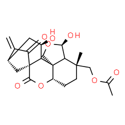 ChemSpider 2D Image | [(1R,4S,7R,9R,12S,14R,16S)-9,14-Dihydroxy-7-methyl-17-methylene-2,18-dioxo-3,10-dioxapentacyclo[14.2.1.0~1,13~.0~4,12~.0~8,12~]nonadec-7-yl]methyl acetate | C22H28O8