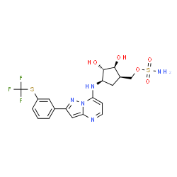 ChemSpider 2D Image | {(1R,2S,3S,4R)-2,3-Dihydroxy-4-[(2-{3-[(trifluoromethyl)sulfanyl]phenyl}pyrazolo[1,5-a]pyrimidin-7-yl)amino]cyclopentyl}methyl sulfamate | C19H20F3N5O5S2