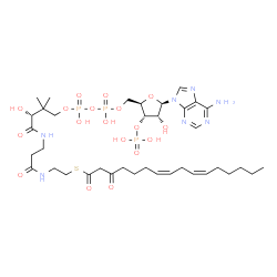ChemSpider 2D Image | S-{(9R)-1-[(2R,3S,4R,5R)-5-(6-Amino-9H-purin-9-yl)-4-hydroxy-3-(phosphonooxy)tetrahydro-2-furanyl]-3,5,9-trihydroxy-8,8-dimethyl-3,5-dioxido-10,14-dioxo-2,4,6-trioxa-11,15-diaza-3lambda~5~,5lambda~5~-
diphosphaheptadecan-17-yl} (7Z,10Z)-3-oxo-7,10-hexadecadienethioate (non-preferred name) | C37H60N7O18P3S