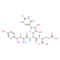 ChemSpider 2D Image | 2-[({[2-Amino-4-hydroxy-4-(5-hydroxy-2-pyridinyl)-3-methylbutanoyl]amino}[5-(2,4-dioxo-1,2,3,4-tetrahydro-5-pyrimidinyl)-3,4-dihydroxytetrahydro-2-furanyl]acetyl)amino]pentanedioic acid (non-preferred
 name) | C25H32N6O13