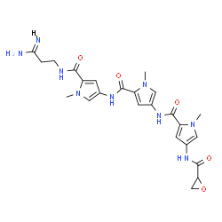 ChemSpider 2D Image | N-[(3Z)-3-Amino-3-iminopropyl]-1-methyl-4-[({1-methyl-4-[({1-methyl-4-[(2-oxiranylcarbonyl)amino]-1H-pyrrol-2-yl}carbonyl)amino]-1H-pyrrol-2-yl}carbonyl)amino]-1H-pyrrole-2-carboxamide | C24H29N9O5