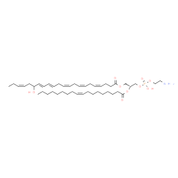 ChemSpider 2D Image | (2R)-3-{[(2-Aminoethoxy)(hydroxy)phosphoryl]oxy}-2-[(9Z)-9-octadecenoyloxy]propyl (4Z,7Z,10Z,13E,15E,19Z)-17-hydroxy-4,7,10,13,15,19-docosahexaenoate | C45H76NO9P