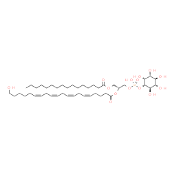 ChemSpider 2D Image | (2R)-1-[(Hydroxy{[(1S,2R,3R,4S,5S,6R)-2,3,4,5,6-pentahydroxycyclohexyl]oxy}phosphoryl)oxy]-3-(palmitoyloxy)-2-propanyl (5Z,8Z,11Z,14Z)-20-hydroxy-5,8,11,14-icosatetraenoate | C45H79O14P