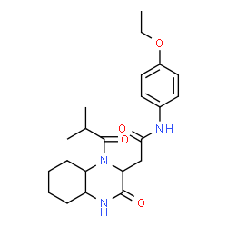 ChemSpider 2D Image | N-(4-Ethoxyphenyl)-2-(1-isobutyryl-3-oxodecahydro-2-quinoxalinyl)acetamide | C22H31N3O4