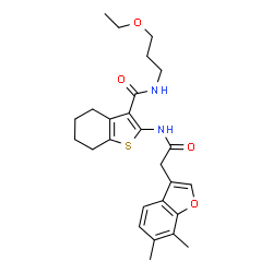 ChemSpider 2D Image | 2-{[(6,7-Dimethyl-1-benzofuran-3-yl)acetyl]amino}-N-(3-ethoxypropyl)-4,5,6,7-tetrahydro-1-benzothiophene-3-carboxamide | C26H32N2O4S