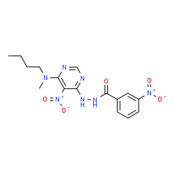 ChemSpider 2D Image | N'-{6-[Butyl(methyl)amino]-5-nitropyrimidin-4-yl}-3-nitrobenzohydrazide | C16H19N7O5