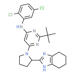 ChemSpider 2D Image | N-(2,5-Dichlorophenyl)-2-(2-methyl-2-propanyl)-6-[2-(4,5,6,7-tetrahydro-1H-benzimidazol-2-yl)-1-pyrrolidinyl]-4-pyrimidinamine | C25H30Cl2N6