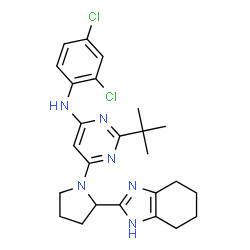 ChemSpider 2D Image | N-(2,4-Dichlorophenyl)-2-(2-methyl-2-propanyl)-6-[2-(4,5,6,7-tetrahydro-1H-benzimidazol-2-yl)-1-pyrrolidinyl]-4-pyrimidinamine | C25H30Cl2N6