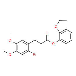 ChemSpider 2D Image | 2-Ethoxyphenyl 3-(2-bromo-4,5-dimethoxyphenyl)propanoate | C19H21BrO5