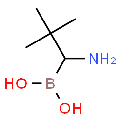 ChemSpider 2D Image | (1-Amino-2,2-dimethylpropyl)boronic acid | C5H14BNO2