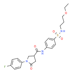 ChemSpider 2D Image | N-{4-[(3-Ethoxypropyl)sulfamoyl]phenyl}-1-(4-fluorophenyl)-5-oxo-3-pyrrolidinecarboxamide | C22H26FN3O5S