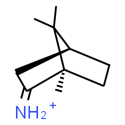 ChemSpider 2D Image | (1R,4S)-1,7,7-Trimethylbicyclo[2.2.1]heptan-2-iminium | C10H18N