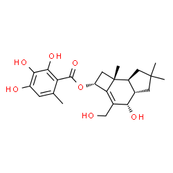 ChemSpider 2D Image | (2R,4S,4aS,7aS,7bR)-4-Hydroxy-3-(hydroxymethyl)-6,6,7b-trimethyl-2,4,4a,5,6,7,7a,7b-octahydro-1H-cyclobuta[e]inden-2-yl 2,3,4-trihydroxy-6-methylbenzoate | C23H30O7