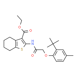 ChemSpider 2D Image | Ethyl 2-{[(2-tert-butyl-4-methylphenoxy)acetyl]amino}-4,5,6,7-tetrahydro-1-benzothiophene-3-carboxylate | C24H31NO4S