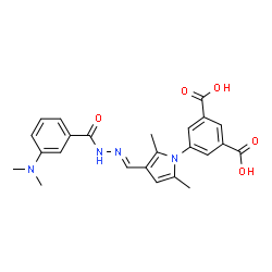 ChemSpider 2D Image | 5-{3-[(E)-{[3-(Dimethylamino)benzoyl]hydrazono}methyl]-2,5-dimethyl-1H-pyrrol-1-yl}isophthalic acid | C24H24N4O5