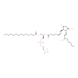 ChemSpider 2D Image | (2R)-2-{[(5Z,11alpha,13E,15S)-11,15-Dihydroxy-1,9-dioxoprosta-5,13-dien-1-yl]oxy}-3-(tetradecanoyloxy)propyl 2-(trimethylammonio)ethyl phosphate | C42H76NO11P