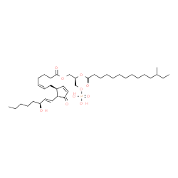 ChemSpider 2D Image | (2R)-2-[(12-Methyltetradecanoyl)oxy]-3-(phosphonooxy)propyl (5Z,13E,15S)-15-hydroxy-11-oxoprosta-5,9,13-trien-1-oate | C38H65O10P