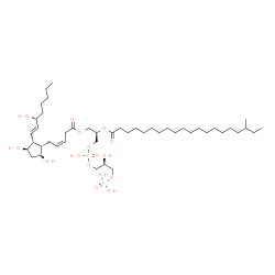 ChemSpider 2D Image | (2Z,8R,14S)-1-{(1S,2R,3R,5S)-3,5-Dihydroxy-2-[(1E,3R)-3-hydroxy-1-octen-1-yl]cyclopentyl}-11,14,17,17-tetrahydroxy-11,17-dioxido-5-oxo-6,10,12,16-tetraoxa-11lambda~5~,17lambda~5~-diphosphaheptadec-2-e
n-8-yl 18-methylicosanoate | C45H84O16P2