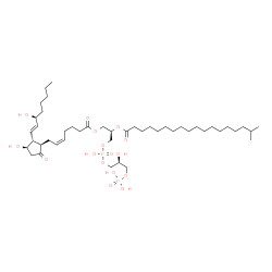 ChemSpider 2D Image | (2R,8S)-5,8,11,11-Tetrahydroxy-2-[(17-methyloctadecanoyl)oxy]-5,11-dioxido-4,6,10-trioxa-5lambda~5~,11lambda~5~-diphosphaundec-1-yl (5Z,11alpha,13E,15S)-11,15-dihydroxy-9-oxoprosta-5,13-dien-1-oate | C45H82O16P2