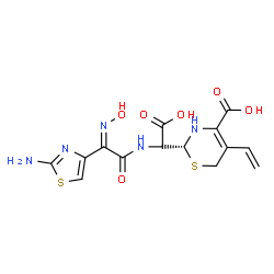 ChemSpider 2D Image | (2R)-2-[(S)-{[(2Z)-2-(2-Amino-1,3-thiazol-4-yl)-2-(hydroxyimino)acetyl]amino}(carboxy)methyl]-5-vinyl-3,6-dihydro-2H-1,3-thiazine-4-carboxylic acid | C14H15N5O6S2