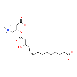ChemSpider 2D Image | 3-{[(4E)-13-Carboxy-3-hydroxy-4-tridecenoyl]oxy}-4-(trimethylammonio)butanoate | C21H37NO7