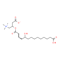 ChemSpider 2D Image | 3-{[(2E)-13-Carboxy-5-hydroxy-2-tridecenoyl]oxy}-4-(trimethylammonio)butanoate | C21H37NO7