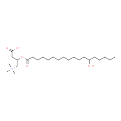 ChemSpider 2D Image | 3-[(13-Hydroxyoctadecanoyl)oxy]-4-(trimethylammonio)butanoate | C25H49NO5