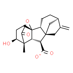 ChemSpider 2D Image | (1R,2R,5R,8R,9S,10R,11R,12S)-12-Hydroxy-11-methyl-6-methylene-16-oxo-15-oxapentacyclo[9.3.2.1~5,8~.0~1,10~.0~2,8~]heptadecane-9-carboxylate | C19H23O5
