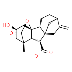 ChemSpider 2D Image | (1R,2R,5R,8R,9S,10R,11S,13R)-13-Hydroxy-11-methyl-6-methylene-16-oxo-15-oxapentacyclo[9.3.2.1~5,8~.0~1,10~.0~2,8~]heptadecane-9-carboxylate | C19H23O5