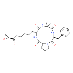 ChemSpider 2D Image | (3R,9S,14aR)-9-Benzyl-6,6-dimethyl-3-{6-[(2S)-2-oxiranyl]-6-oxohexyl}decahydropyrrolo[1,2-a][1,4,7,10]tetraazacyclododecine-1,4,7,10-tetrone | C28H38N4O6