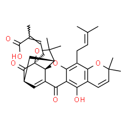 ChemSpider 2D Image | (2Z)-4-[(1R,2S,17S,19S)-12-Hydroxy-8,8,21,21-tetramethyl-5-(3-methyl-2-buten-1-yl)-14,18-dioxo-3,7,20-trioxahexacyclo[15.4.1.0~2,15~.0~2,19~.0~4,13~.0~6,11~]docosa-4(13),5,9,11,15-pentaen-19-yl]-2-met
hyl-2-butenoic acid | C33H36O8