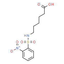 ChemSpider 2D Image | 6-{[(2-Nitrophenyl)sulfonyl]amino}hexanoic acid | C12H16N2O6S
