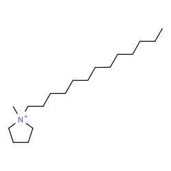 ChemSpider 2D Image | 1-Methyl-1-tridecylpyrrolidinium | C18H38N