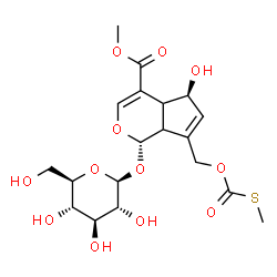 ChemSpider 2D Image | Methyl (1S,5S)-1-(beta-D-glucopyranosyloxy)-5-hydroxy-7-({[(methylsulfanyl)carbonyl]oxy}methyl)-1,4a,5,7a-tetrahydrocyclopenta[c]pyran-4-carboxylate | C19H26O12S