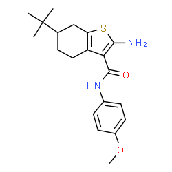 ChemSpider 2D Image | 2-amino-6-tert-butyl-N-(4-methoxyphenyl)-4,5,6,7-tetrahydro-1-benzothiophene-3-carboxamide | C20H26N2O2S