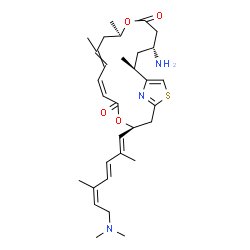 ChemSpider 2D Image | (3S,11R,15R,17S)-15-Amino-3-[(1E,3E,5Z)-7-(dimethylamino)-2,5-dimethyl-1,3,5-heptatrien-1-yl]-9,11,17-trimethyl-4,12-dioxa-20-thia-21-azabicyclo[16.2.1]henicosa-1(21),6,8,18-tetraene-5,13-dione | C31H45N3O4S
