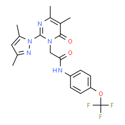 ChemSpider 2D Image | 2-[2-(3,5-Dimethyl-1H-pyrazol-1-yl)-4,5-dimethyl-6-oxo-1(6H)-pyrimidinyl]-N-[4-(trifluoromethoxy)phenyl]acetamide | C20H20F3N5O3