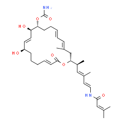 ChemSpider 2D Image | (2R,4E,6E,10R,11R,12E,14R,18E)-11,14-Dihydroxy-4-methyl-2-{(2S,3E,5E)-4-methyl-6-[(3-methyl-2-butenoyl)amino]-3,5-hexadien-2-yl}-20-oxooxacycloicosa-4,6,12,18-tetraen-10-yl carbamate | C33H48N2O7