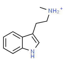 ChemSpider 2D Image | 2-(1H-Indol-3-yl)-N-methylethanaminium | C11H15N2