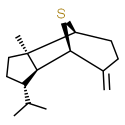 ChemSpider 2D Image | (1S,2R,5S,6S,7R)-5-Isopropyl-2-methyl-8-methylene-11-thiatricyclo[5.3.1.0~2,6~]undecane | C15H24S