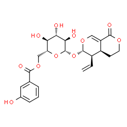 ChemSpider 2D Image | (4aS,5R,6S)-1-Oxo-5-vinyl-4,4a,5,6-tetrahydro-1H,3H-pyrano[3,4-c]pyran-6-yl 6-O-(3-hydroxybenzoyl)-beta-D-glucopyranoside | C23H26O11