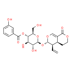 ChemSpider 2D Image | (4aS,5R,6S)-1-Oxo-5-vinyl-4,4a,5,6-tetrahydro-1H,3H-pyrano[3,4-c]pyran-6-yl 4-O-(3-hydroxybenzoyl)-beta-D-glucopyranoside | C23H26O11