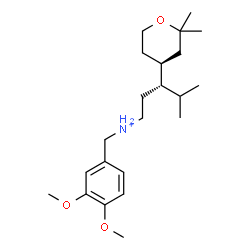 ChemSpider 2D Image | (3S)-N-(3,4-Dimethoxybenzyl)-3-[(4S)-2,2-dimethyltetrahydro-2H-pyran-4-yl]-4-methyl-1-pentanaminium | C22H38NO3