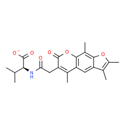 ChemSpider 2D Image | (2S)-3-Methyl-2-{[(2,3,5,9-tetramethyl-7-oxo-7H-furo[3,2-g]chromen-6-yl)acetyl]amino}butanoate | C22H24NO6