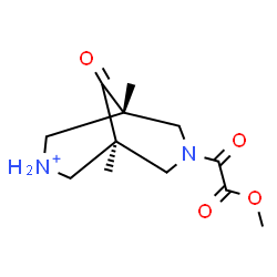 ChemSpider 2D Image | (1R,5S)-7-[Methoxy(oxo)acetyl]-1,5-dimethyl-9-oxo-7-aza-3-azoniabicyclo[3.3.1]nonane | C12H19N2O4
